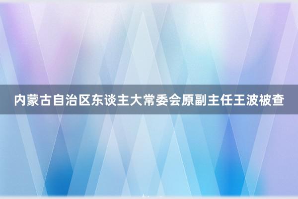 内蒙古自治区东谈主大常委会原副主任王波被查