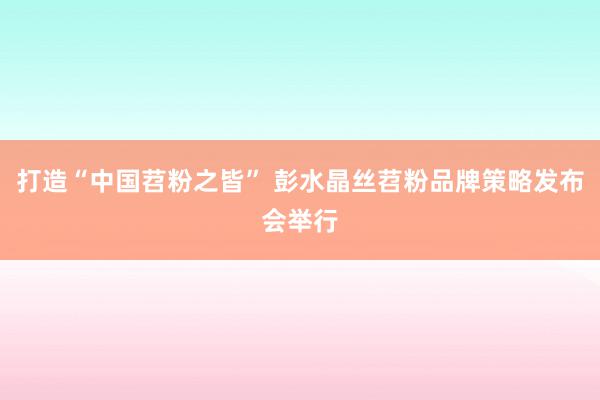 打造“中国苕粉之皆” 彭水晶丝苕粉品牌策略发布会举行