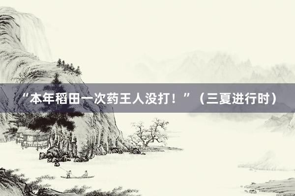 “本年稻田一次药王人没打！”（三夏进行时）