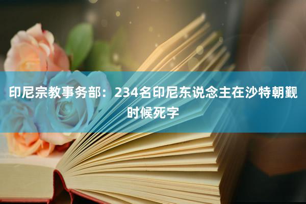 印尼宗教事务部：234名印尼东说念主在沙特朝觐时候死字