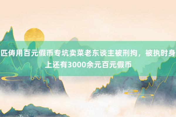 匹俦用百元假币专坑卖菜老东谈主被刑拘，被执时身上还有3000余元百元假币