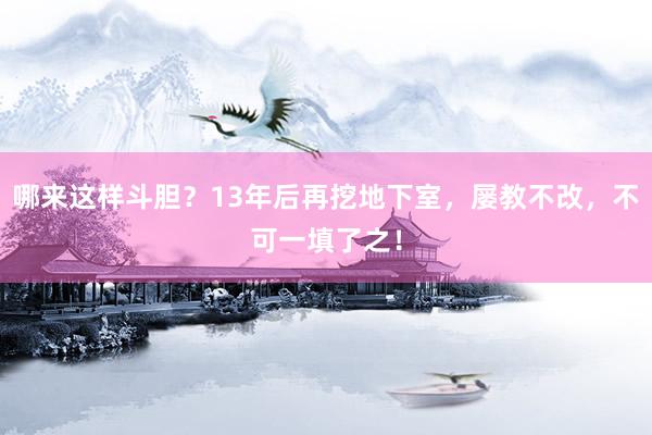 哪来这样斗胆？13年后再挖地下室，屡教不改，不可一填了之！