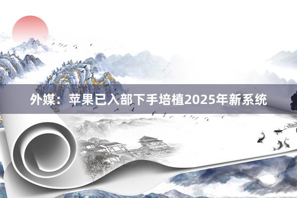 外媒：苹果已入部下手培植2025年新系统