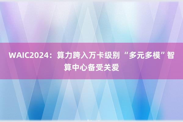 WAIC2024：算力跨入万卡级别 “多元多模”智算中心备受关爱