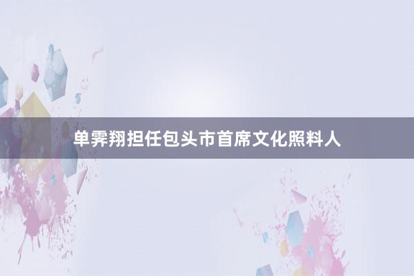 单霁翔担任包头市首席文化照料人