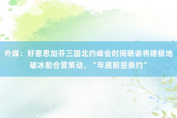 外媒：好意思加芬三国北约峰会时间晓谕将建极地破冰船合营策动，“年底前签条约”