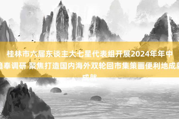 桂林市六届东谈主大七星代表组开展2024年年中趋奉调研 聚焦打造国内海外双轮回市集策画便利地成就