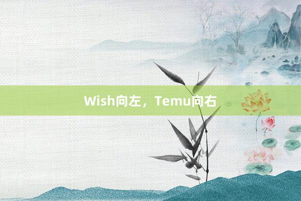 Wish向左，Temu向右