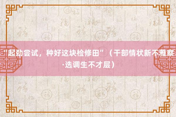 “起劲尝试，种好这块检修田”（干部情状新不雅察·选调生不才层）