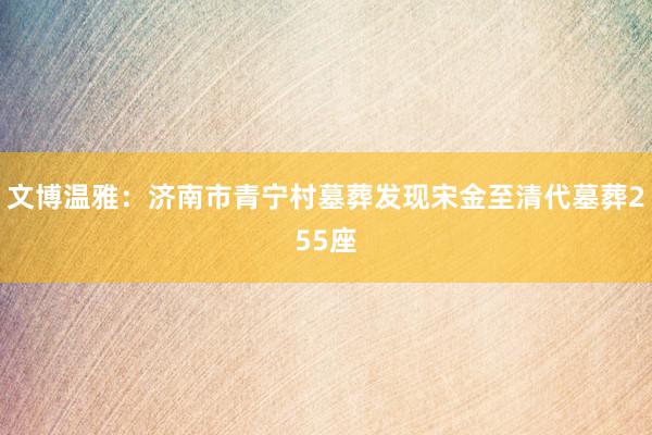 文博温雅：济南市青宁村墓葬发现宋金至清代墓葬255座