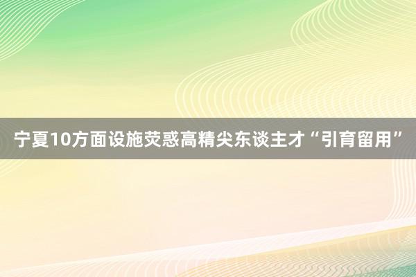 宁夏10方面设施荧惑高精尖东谈主才“引育留用”