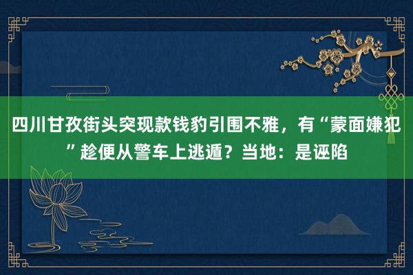 四川甘孜街头突现款钱豹引围不雅，有“蒙面嫌犯”趁便从警车上逃遁？当地：是诬陷