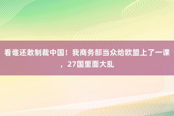 看谁还敢制裁中国！我商务部当众给欧盟上了一课，27国里面大乱