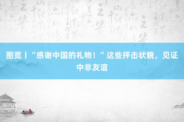 图览丨“感谢中国的礼物！”这些抨击状貌，见证中非友谊