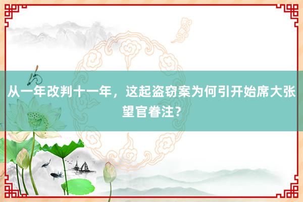 从一年改判十一年，这起盗窃案为何引开始席大张望官眷注？