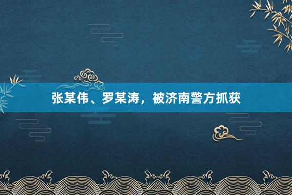 张某伟、罗某涛，被济南警方抓获