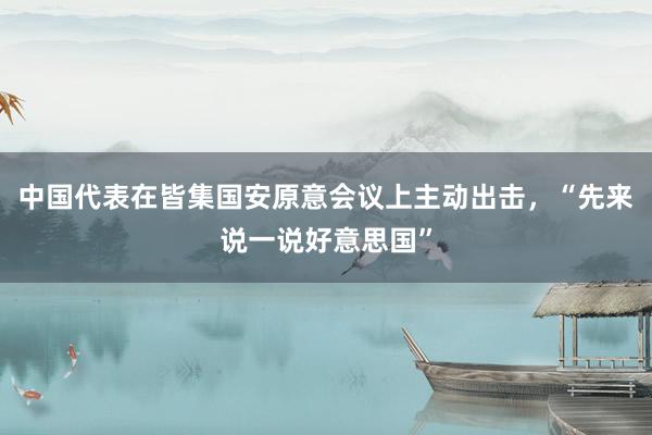 中国代表在皆集国安原意会议上主动出击，“先来说一说好意思国”