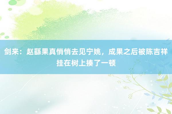 剑来：赵繇果真悄悄去见宁姚，成果之后被陈吉祥挂在树上揍了一顿